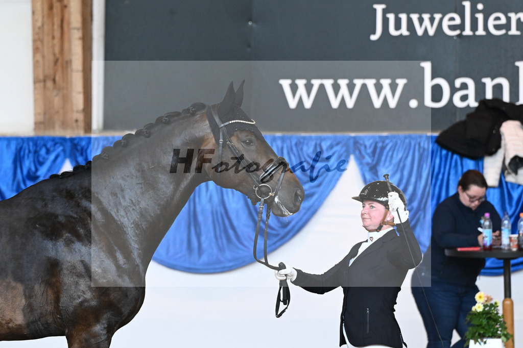 Kat-Nr. 22 Brunox_Hesse-Wadenspanner_14242228 | hf-fotografie - Realizzato con Pictrs.com