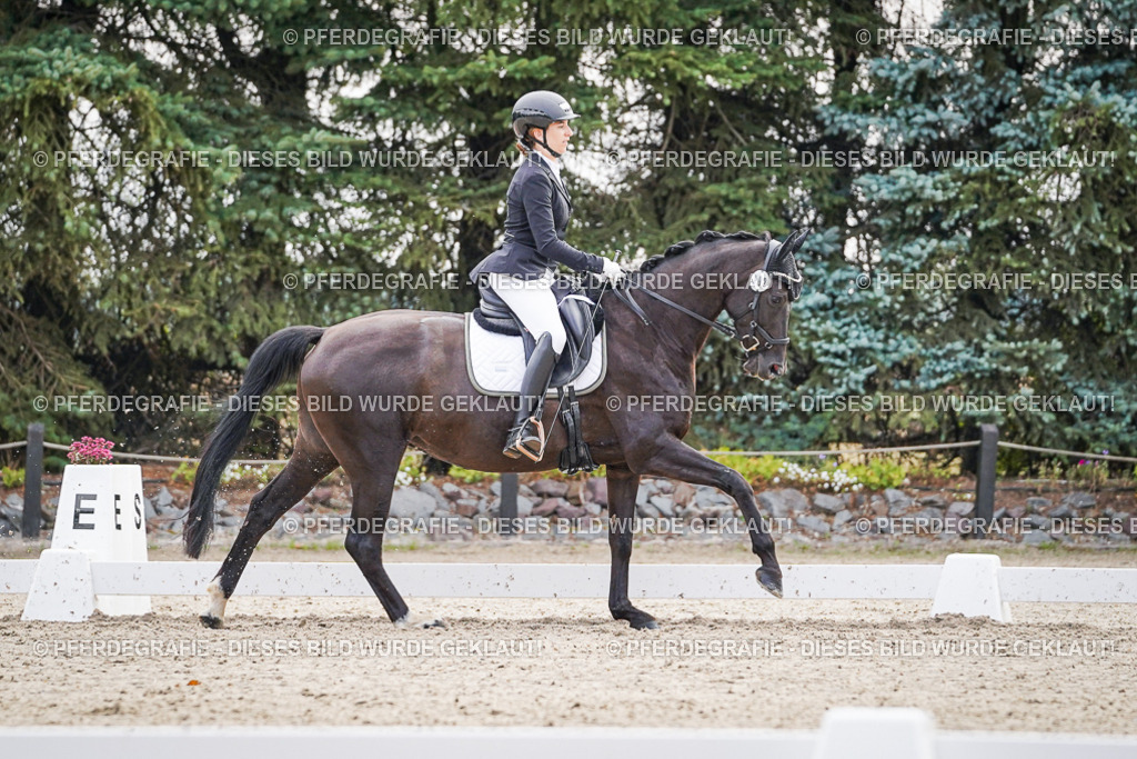 DSC00540 | Pferdegrafie