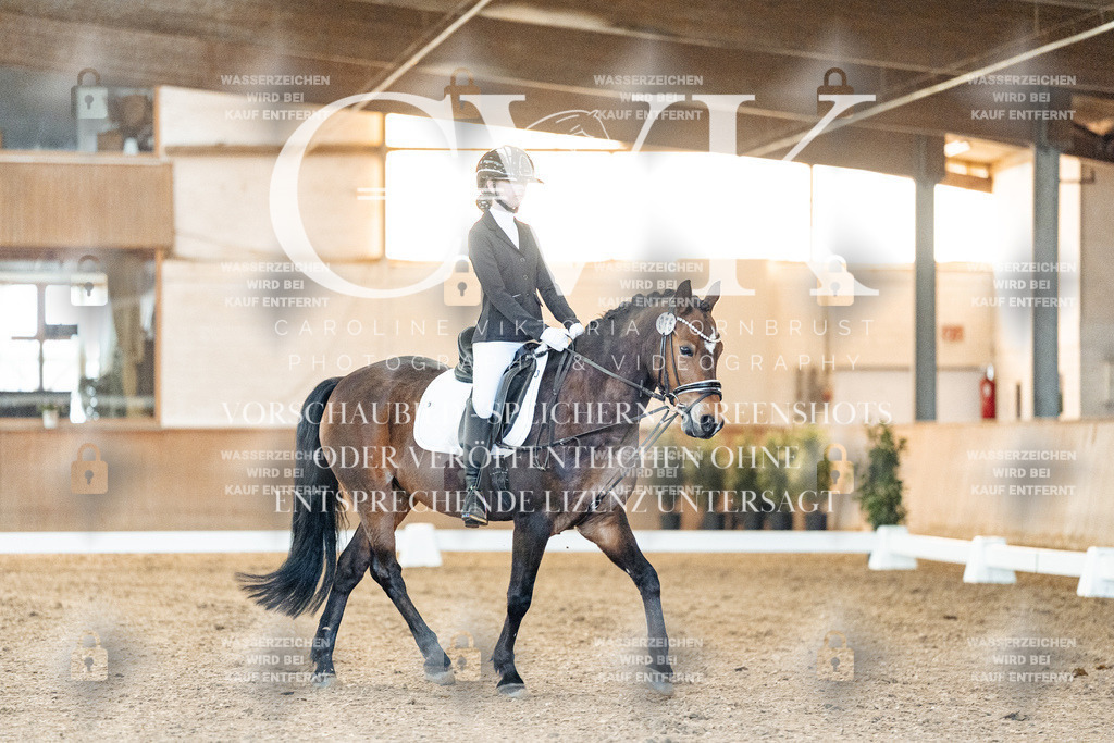 CK906569 | Turnierfotografie Pferdefotografie Trier Rheinland-Pfalz Pferdesport Reitsport Tierfotografie Sportfotografie Pferdevideo Pferdevideografie Equestrianvideography equestrianphotography  - Realisiert mit Pictrs.com