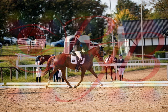 2026_10_03_Siefer-Hof_132856_Z63_90471194 | Professionelle Reitsport-, Turnier- und Eventfotografie von Robert Broda. Galerien mit ausgewählten und bearbeiteten Bildern direkt online ansehen und bestellen.