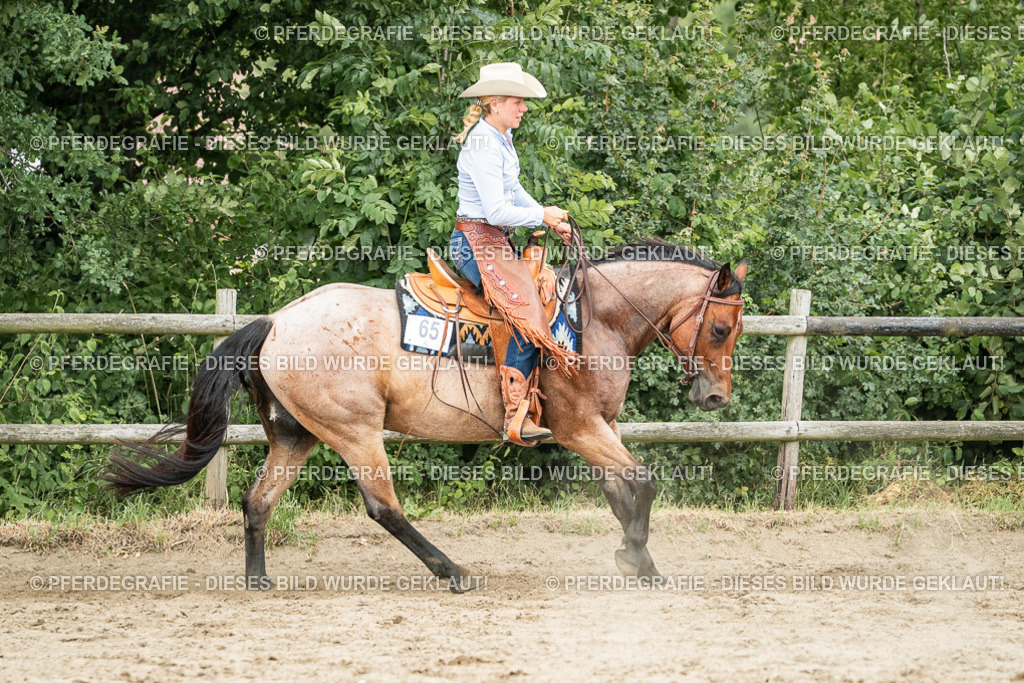 DSC04539 | Pferdegrafie