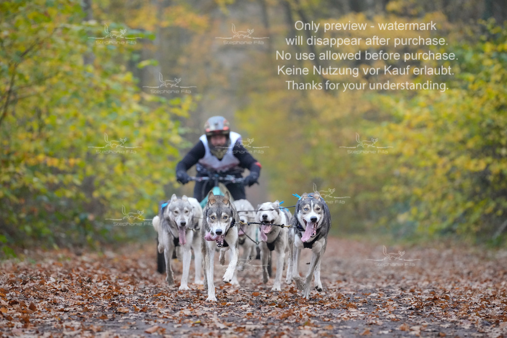 Rigs4bis8So-70 | stephaniefillaphotographie - Realisiert mit Pictrs.com