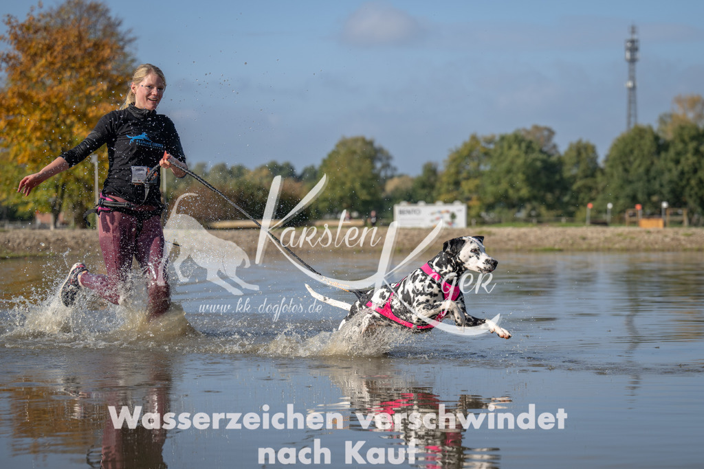 1117_ZZ92151 | kk-dogfotos