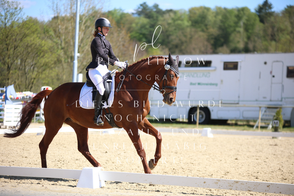 IMGT7941 | pl-fotografie