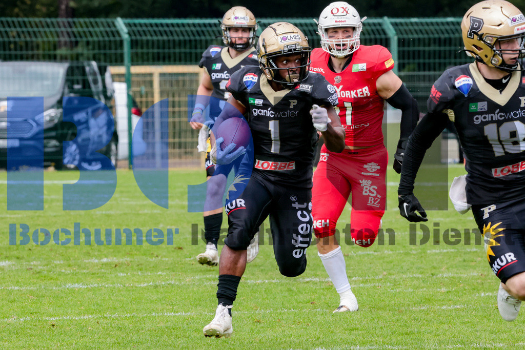 GFL: Paderborn Dolphins vs. New Yorker Lions{date} -  | {headline}(Foto: Sebastian Sendlak / BOND) - Realisiert mit Pictrs.com