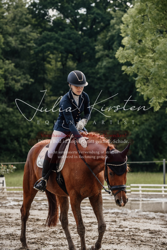 DSC_8979 | Pferde- und Turnierfotografie in Westsachsen. Pferdeportraits, Auftragszeichnungen und intuitive Kunst.