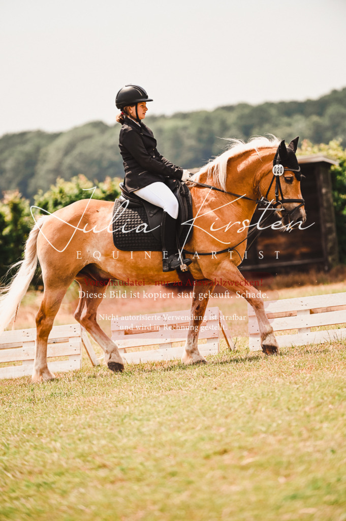 DSC_6364 | Pferde- und Turnierfotografie in Westsachsen. Pferdeportraits, Auftragszeichnungen und intuitive Kunst.