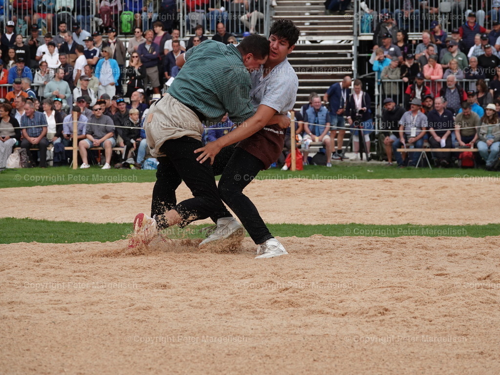 DSC08320 | Schwingen - Realisiert mit Pictrs.com