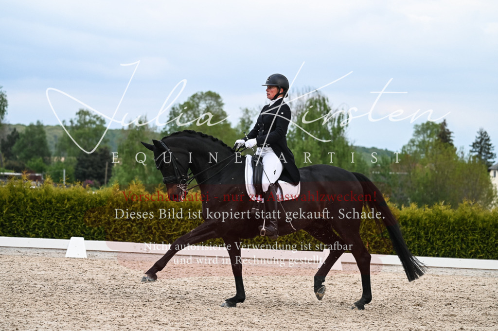20230513_JK-Röhrsdorf-13-392 | Pferde- und Turnierfotografie in Westsachsen. Pferdeportraits, Auftragszeichnungen und intuitive Kunst.