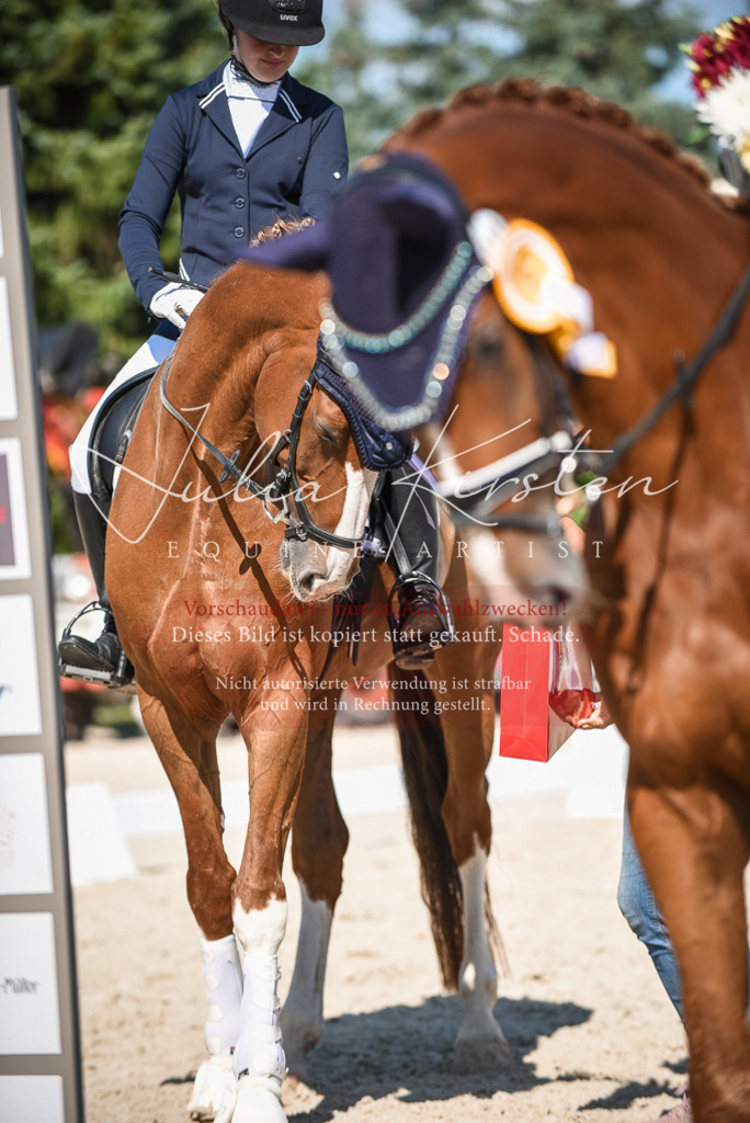 DSC_9730 | Pferde- und Turnierfotografie in Westsachsen. Pferdeportraits, Auftragszeichnungen und intuitive Kunst.
