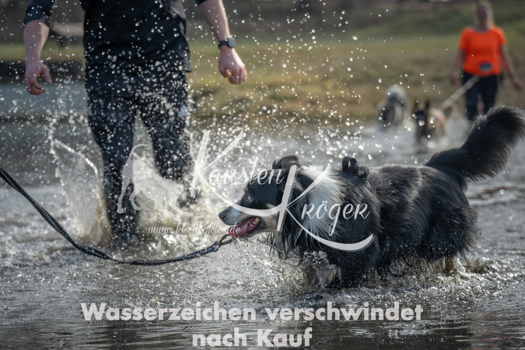 1055_ZZ90662 | kk-dogfotos