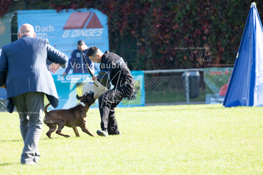 _16A5032 | Einzigartige Fotos von Hunden & Menschen –Actionfotos, Portraits, Vereinsaufnahmen & Paarshootings – authentisch, lebendig & mit Herz.