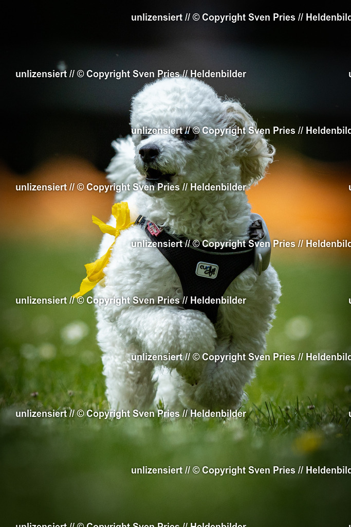 Sven Pries | 2025-05-29 - Pudelrennen KA-Durlach - Realisiert mit Pictrs.com