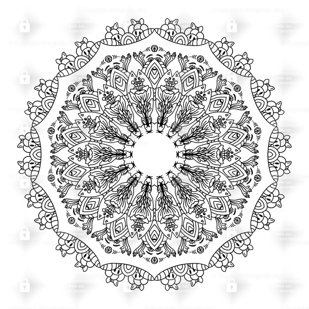 doo35 | fotografinelsa