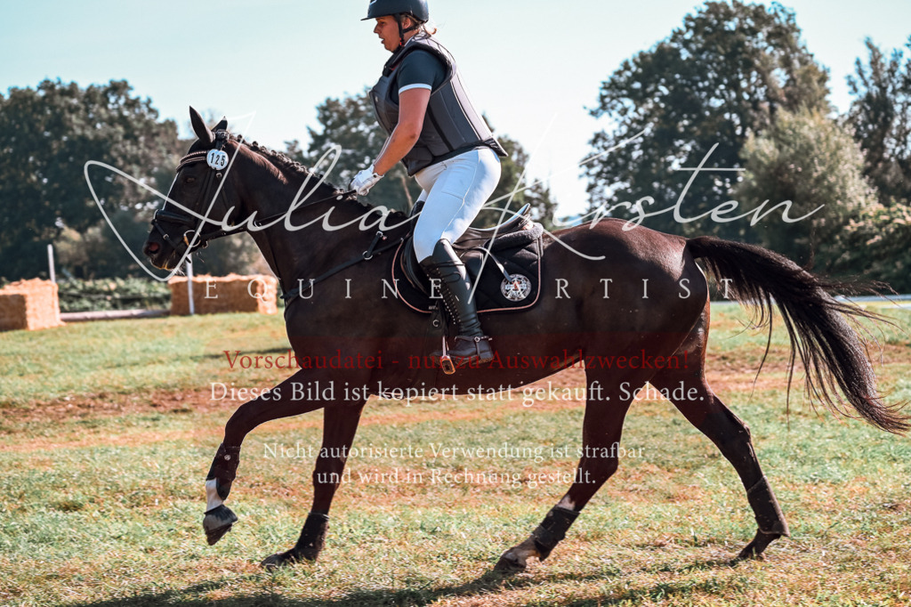 DSC_0581 | Pferde- und Turnierfotografie in Westsachsen. Pferdeportraits, Auftragszeichnungen und intuitive Kunst.