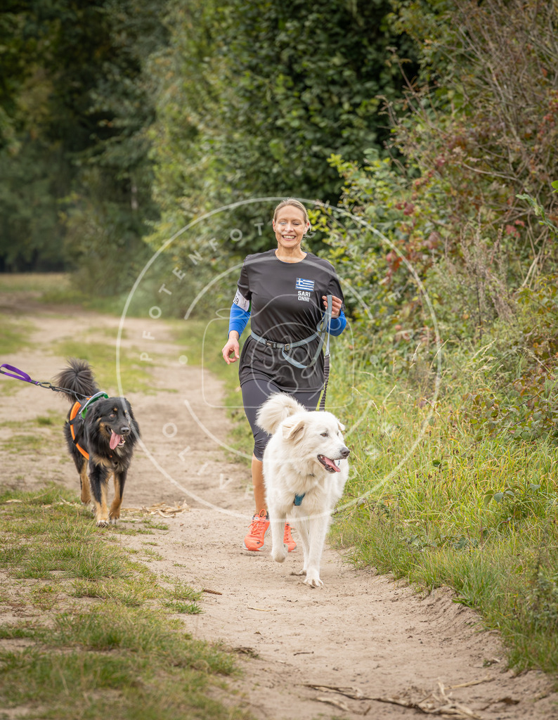 Pfotenfotografie_DV3A7160 | Hundefotografie, Tierfotograf, Pfotenfotografie, Fotoshooting Hund, Hunde Portrait, Hundesport, Hundeportraits, Heideshooting, Hunde, Sportfotograf, Hundefotograf, Turnierhundsport, THS,  - Realisiert mit Pictrs.com
