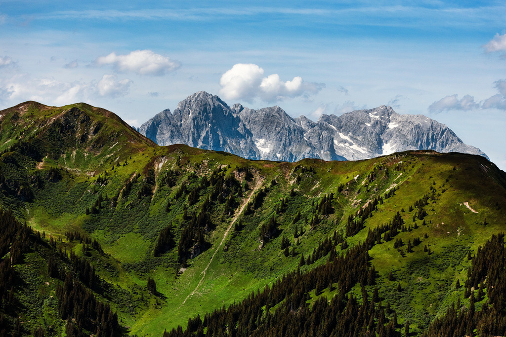dr__0092565.jpg | BRANDSCHINK 14.06.2022 Felsen- Massiv und Berglandschaft der Österreichischen Alpen am " Nationalpark Gesäuse " an der Straße Treglwang in Brandschink in Steiermark, Österreich. 