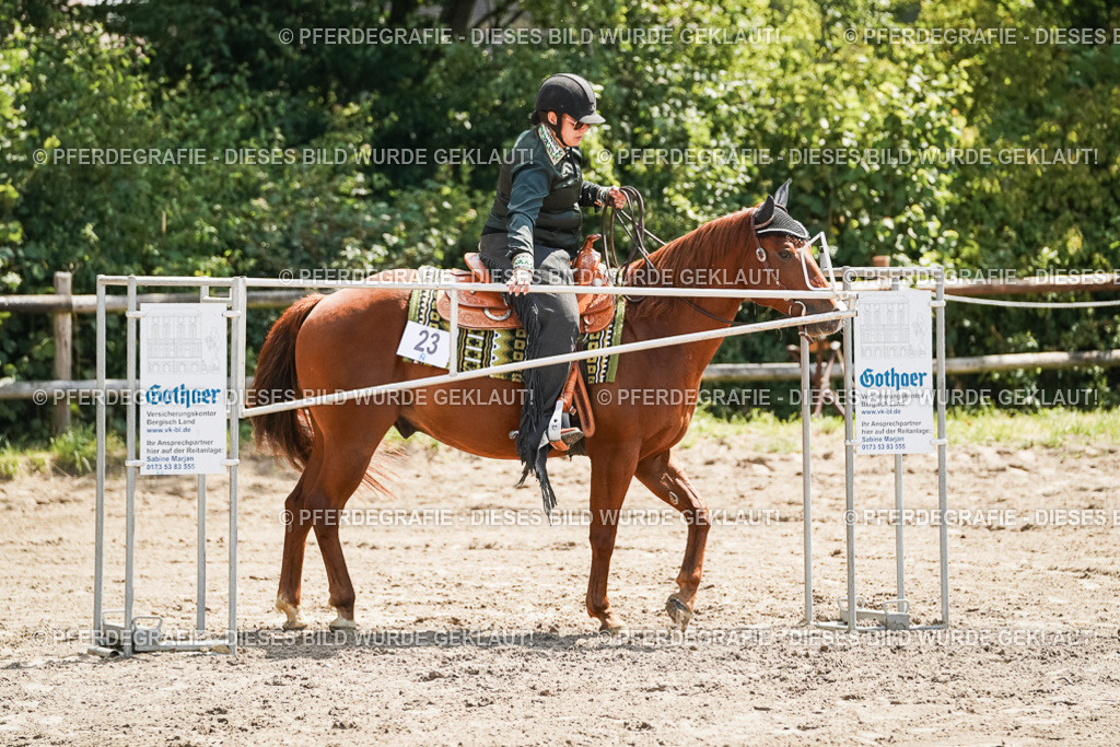 DSC06552 | Pferdegrafie