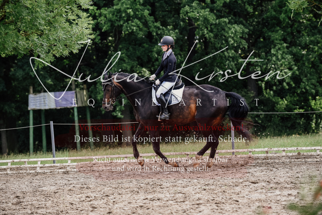 DSC_0623 | Pferde- und Turnierfotografie in Westsachsen. Pferdeportraits, Auftragszeichnungen und intuitive Kunst.