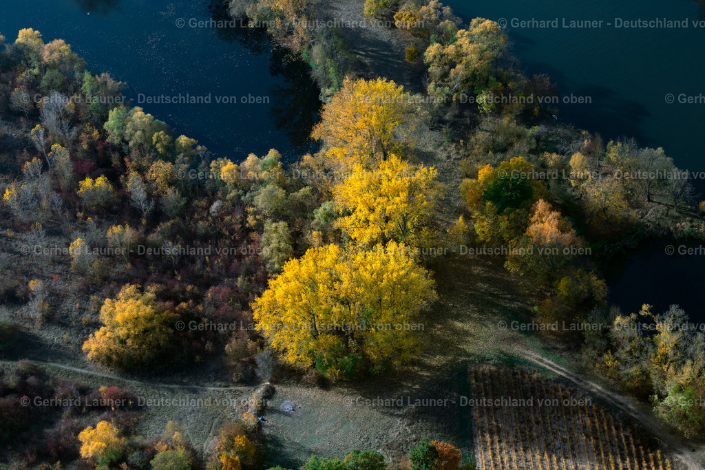 3807979 | Herbstliche Bäume bei Albertshofen