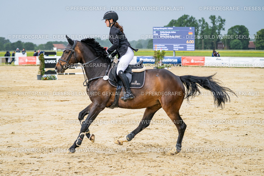 DSC04091 | Pferdegrafie