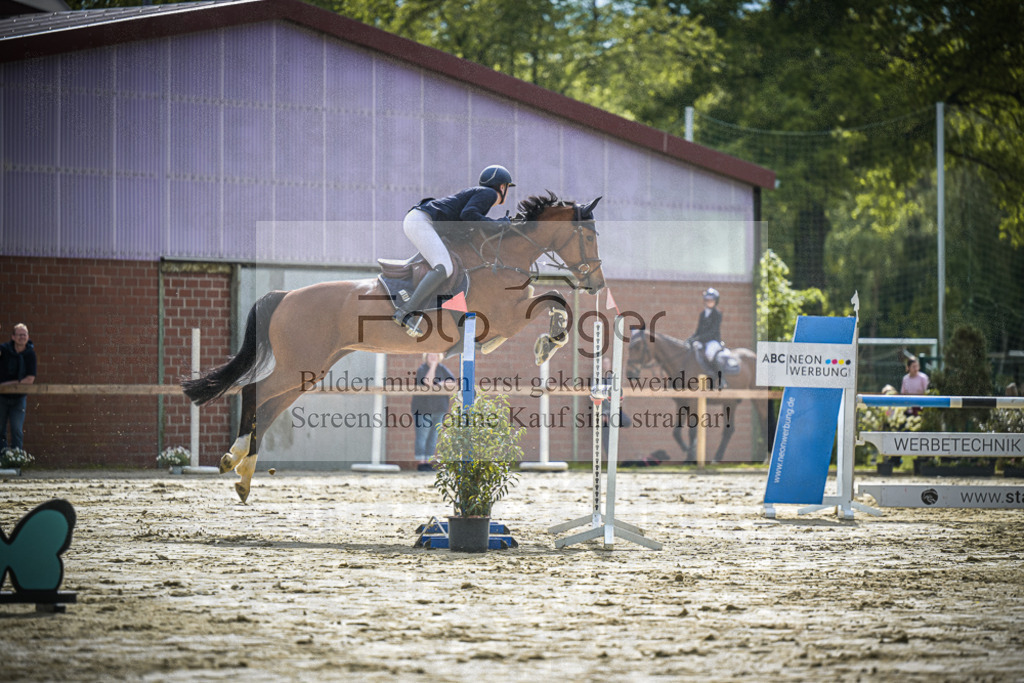 DOS_1579 | Entdecke hochwertige Reitturnierfotos von Foto Oger. Professionell, emotional und authentisch – jetzt Lieblingsmomente im Shop bestellen. - Realisiert mit Pictrs.com