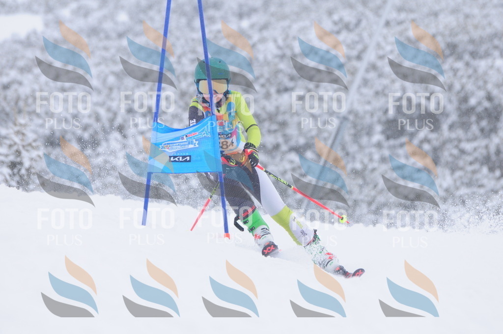 C4073 | holidayphoto