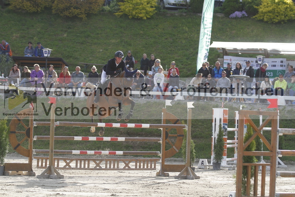 _MG_1181 | equestrian-live-com