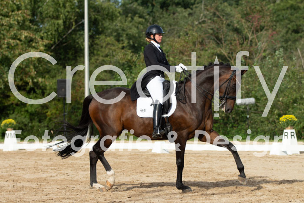 IMG_4677 | Creatify Fotografie