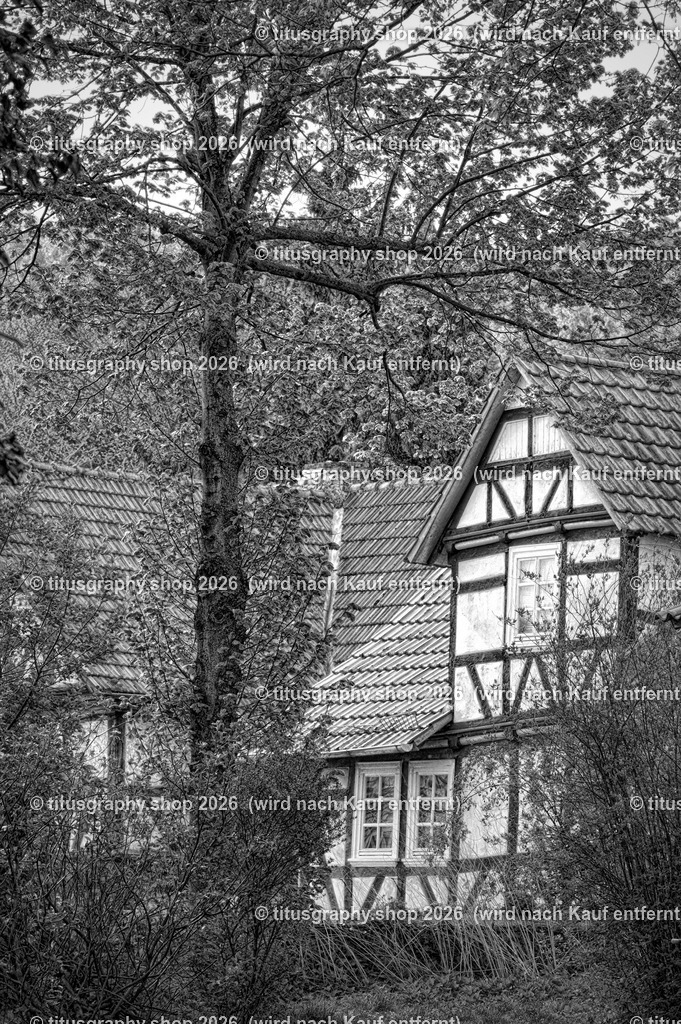 2022-04-29_FT-125_Oberkaufungen_DSC_0600_bearbeitet_pe (Kopie) | titusgraphy-shop: Geschenkideen mit Qualitätsfotos. titusgraphy-shop: gift ideas with quality photos. titusgraphy-shop: idées cadeaux avec photos de qualité.  - Realisiert mit Pictrs.com