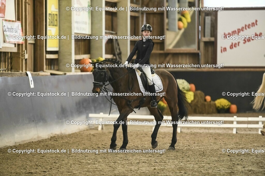 20231029_02_Reiter-WB_Schritt-Trab-Galopp_Abteilung-02_0023 | Foto: Thomas Hartig