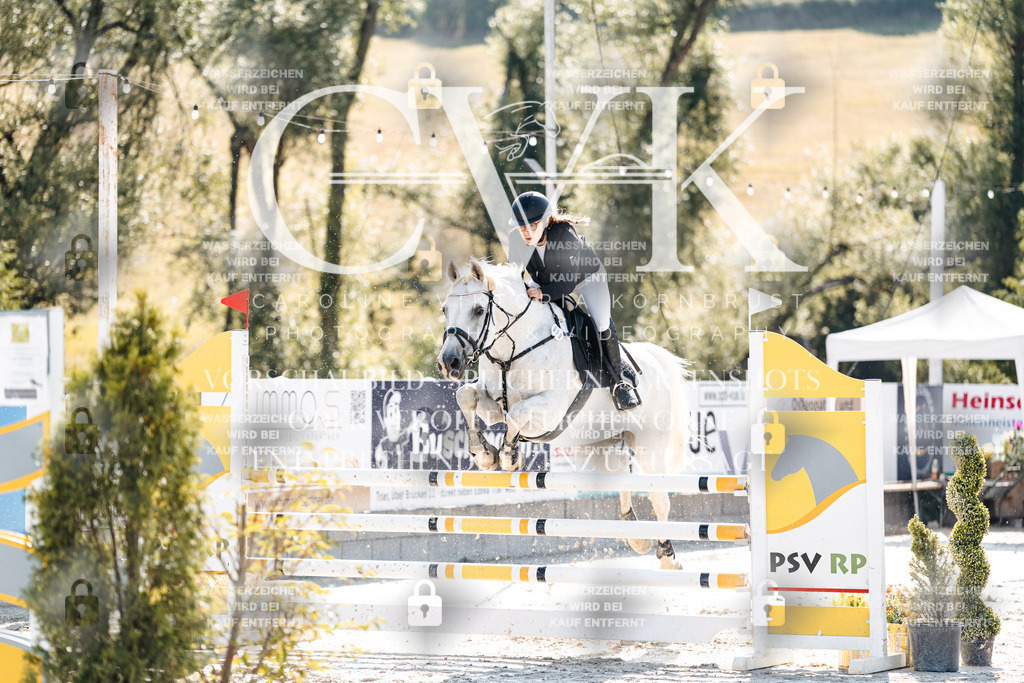 CK907667 | Turnierfotografie Pferdefotografie Trier Rheinland-Pfalz Pferdesport Reitsport Tierfotografie Sportfotografie Pferdevideo Pferdevideografie Equestrianvideography equestrianphotography  - Realisiert mit Pictrs.com