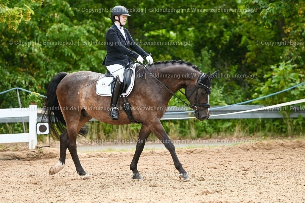 20230715_07_Dressurpferdeprfg. Kl.L_0125 | equistock