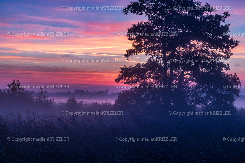 Fraueninsel | medienkrizzler - Realisiert mit Pictrs.com