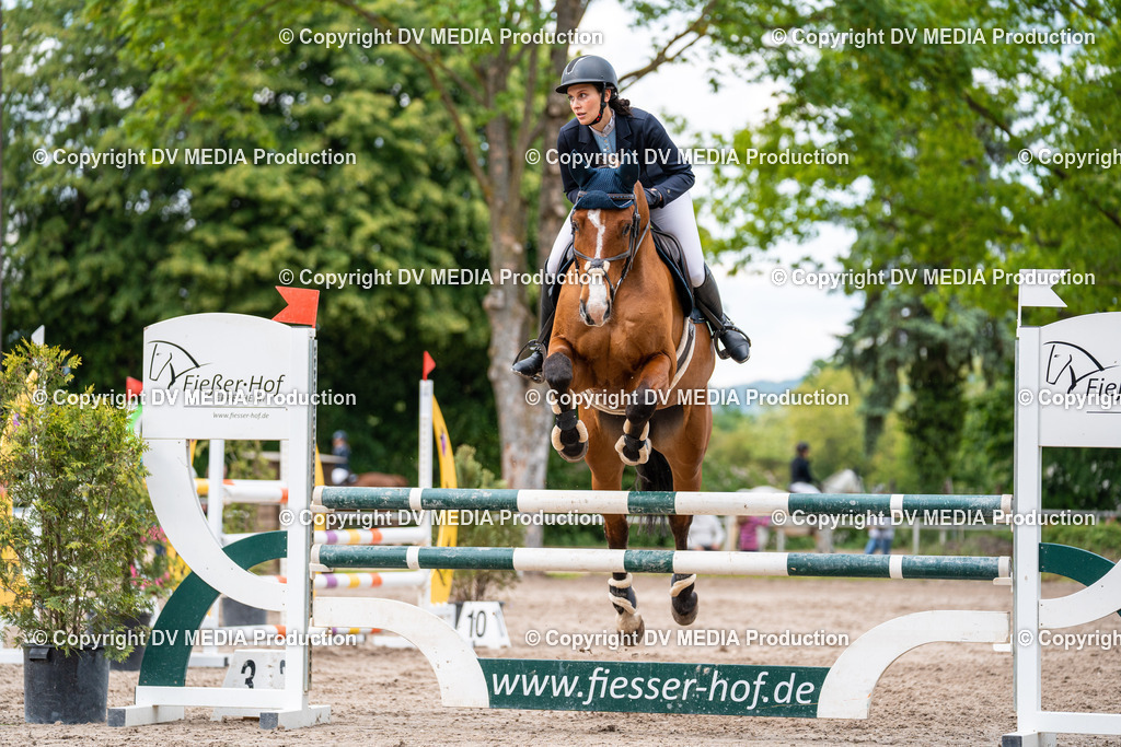 Eppelheim Tag 2-564 | dv-media-shop - Realisiert mit Pictrs.com