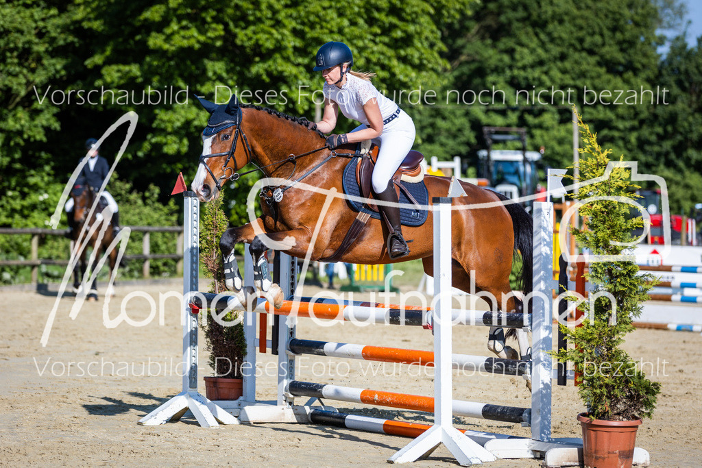 Donop24-ASpr-105 | MomenTaufnahmen Pferdesportfotos