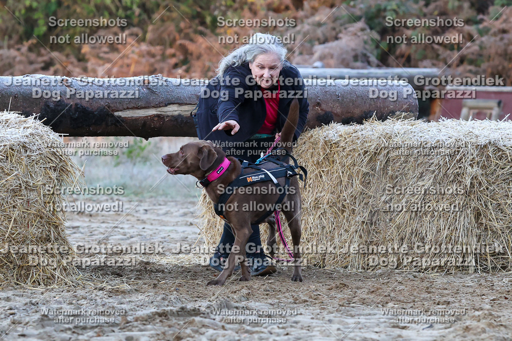 Dog Paparazzi - Strongdog 10-25-288 | Dog Paparazzi Jeanette Grottendiek Fotografie & Videografie - Realisiert mit Pictrs.com