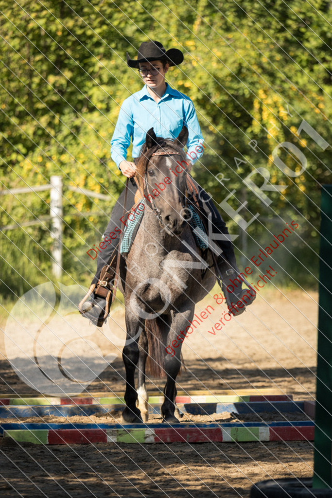 IMG_7099 | Sport-, Event- und Tierfotos in Profiqualität. Einfach auswählen, bestellen und herunterladen. Dein Moment – perfekt festgehalten.