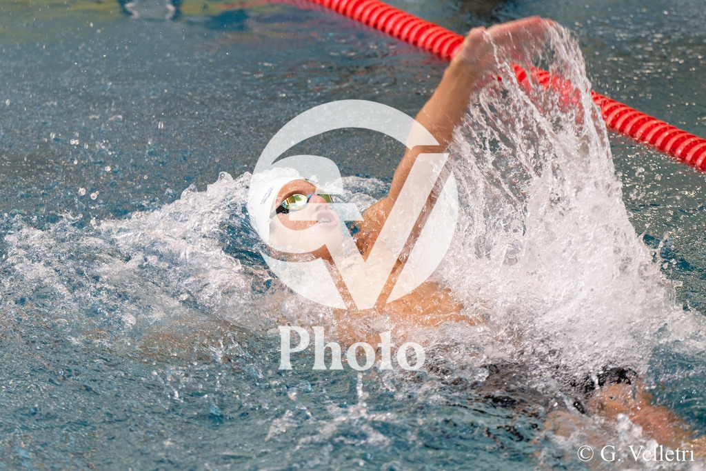 DSC_2429 | Velletri Photo