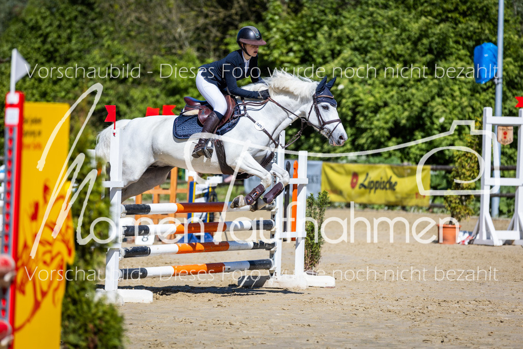 Donop24-A2Spr-155 | MomenTaufnahmen Pferdesportfotos