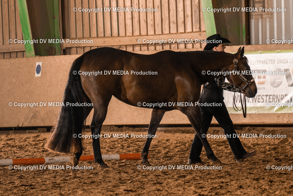 BAL01187 | dv-media-shop - Realisiert mit Pictrs.com