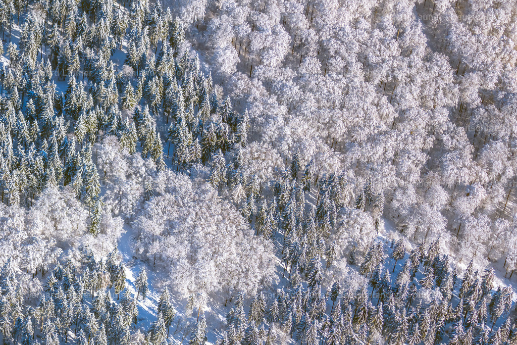 4043370 | winterliche Baumstrukturen in der Rhön
