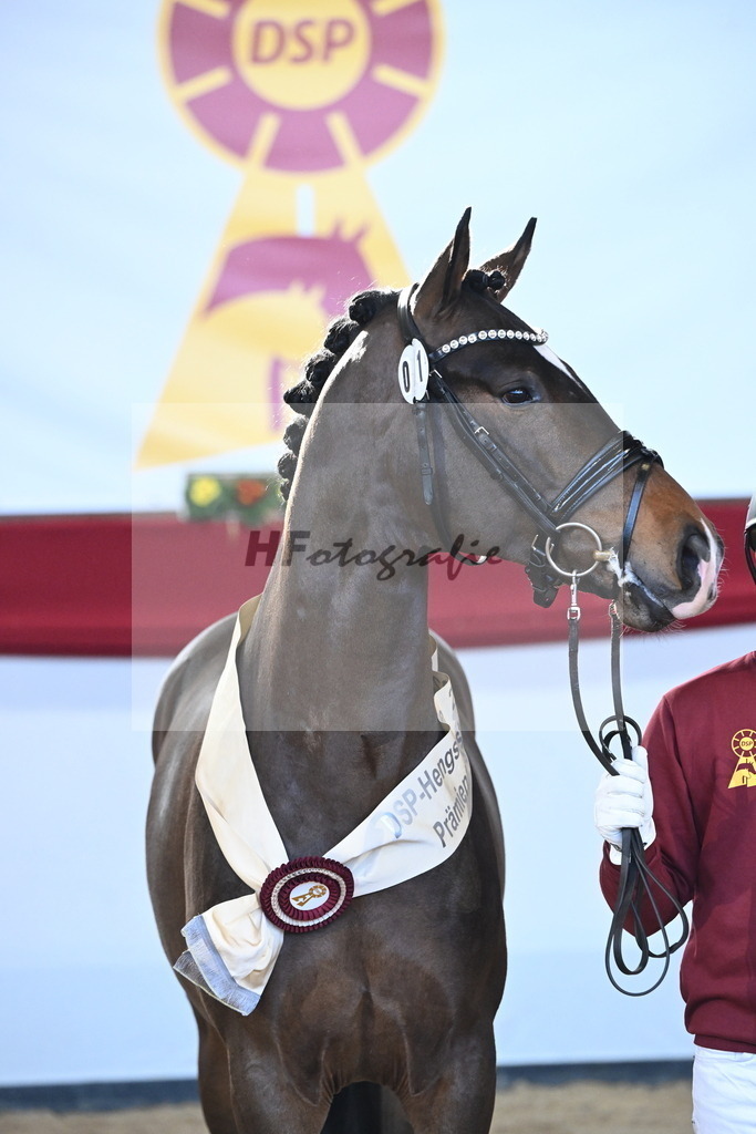 Kat.-Nr. 71 v. Va Bene_Müller_2242650 | hf-fotografie - Realisiert mit Pictrs.com
