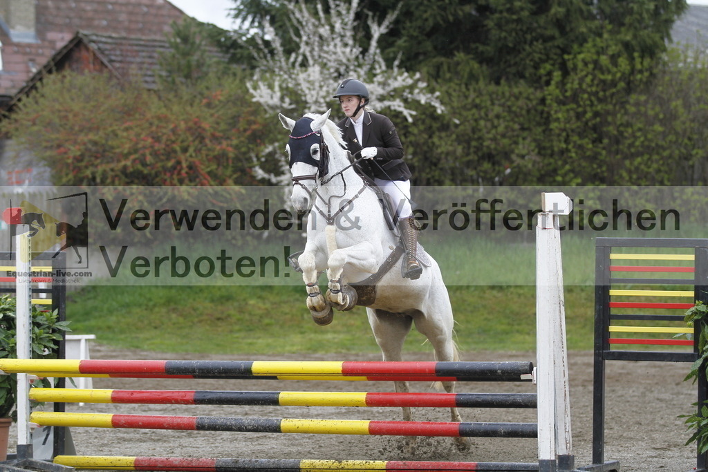 _MG_3465 | equestrian-live-com