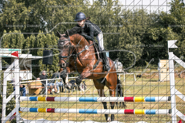 _W6A8587 | ronjaprokoschfotografie - Realisiert mit Pictrs.com