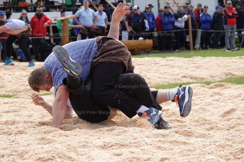 DSC00672 | Schwingen - Realisiert mit Pictrs.com