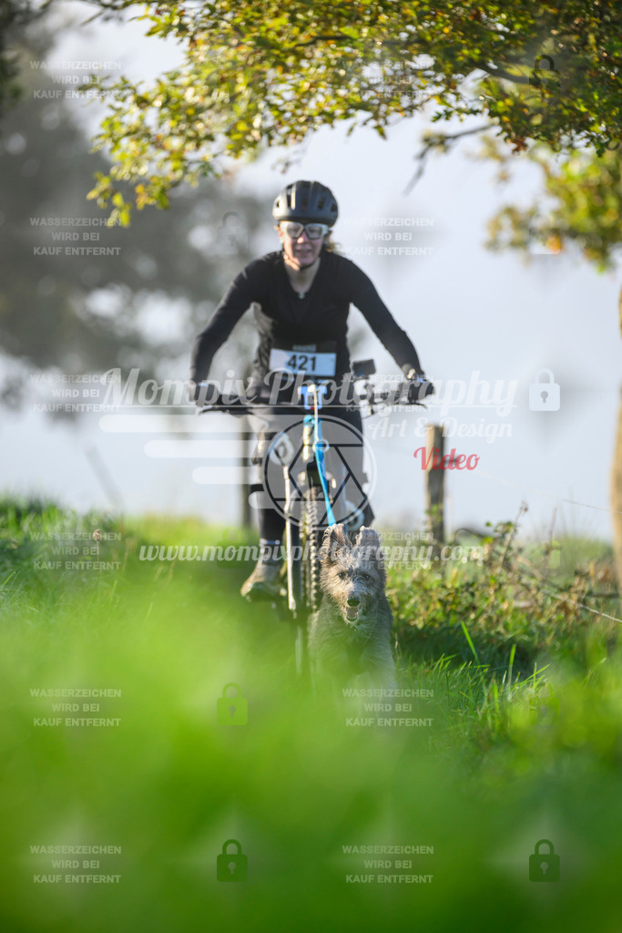 MompixPhotography_20TSB_E3_Bike-178 | PayLife