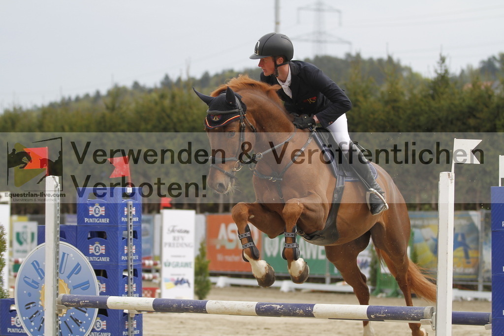 _MG_0784 | equestrian-live-com