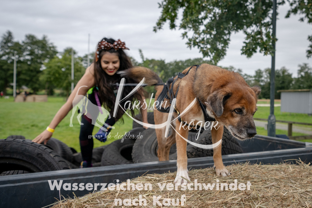 1248_ZZ92425 | kk-dogfotos