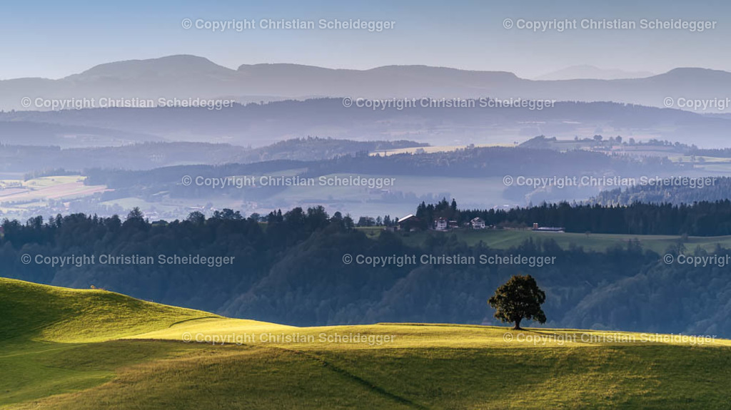 PICTR-A7307511 | Schöne Fotoprints und andere Fotobilderprodukte, frei konfigurierbar - Realisiert mit Pictrs.com